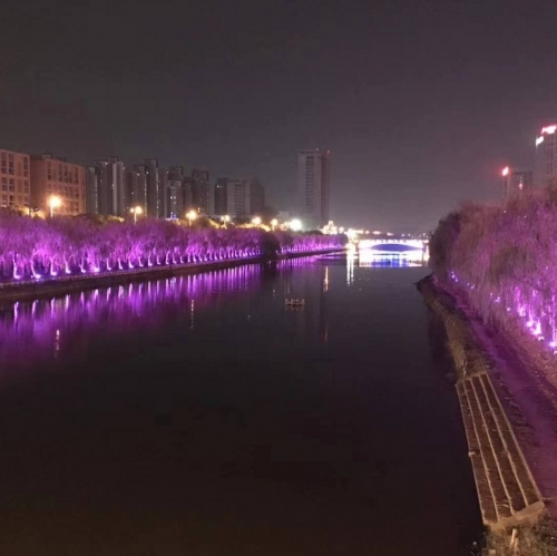 园林景观亮化，用灯光点亮中式之美，让园林的魅力在夜晚大放异彩